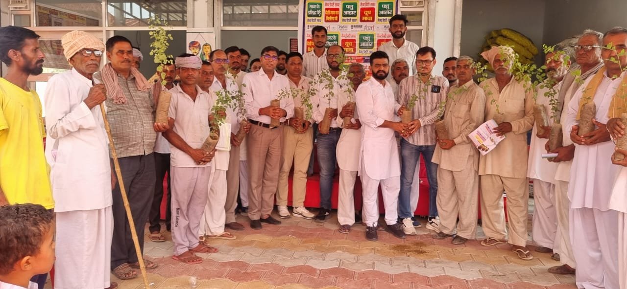 मेजर डेयरी सावर, Major Dairy in Sawar, Major Dairy Unit Begins in Sawar, Sawar ke pede major dairy